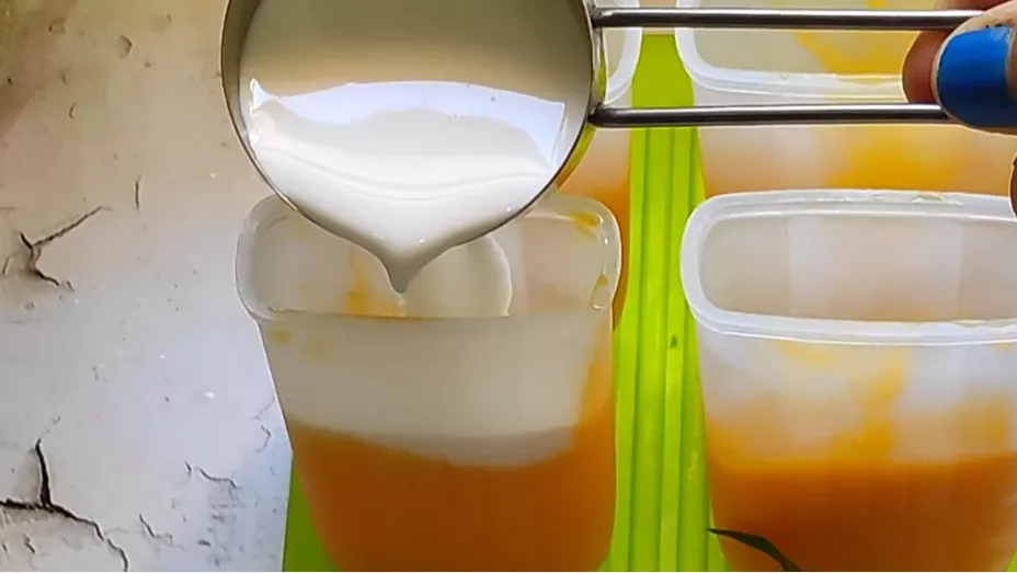 Mango Coconut Popsicles Recipe